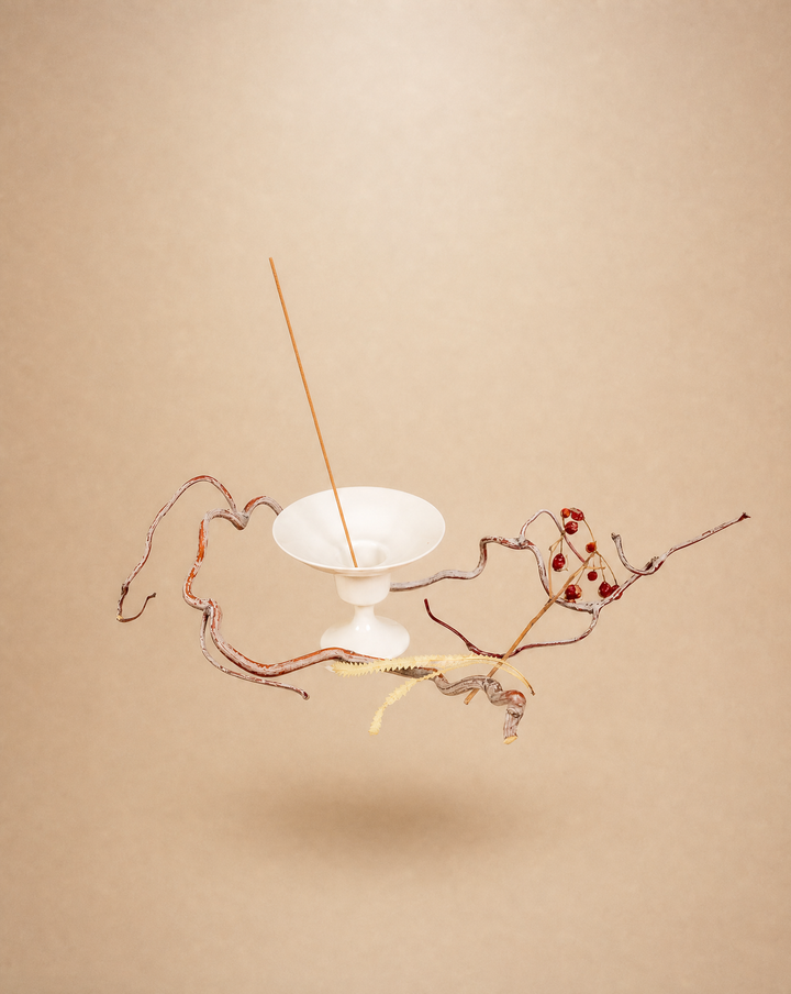 Porcelain Incense Holder | Cloud